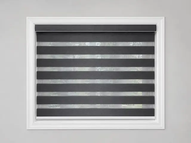 Charcoal zebra blind on a large window